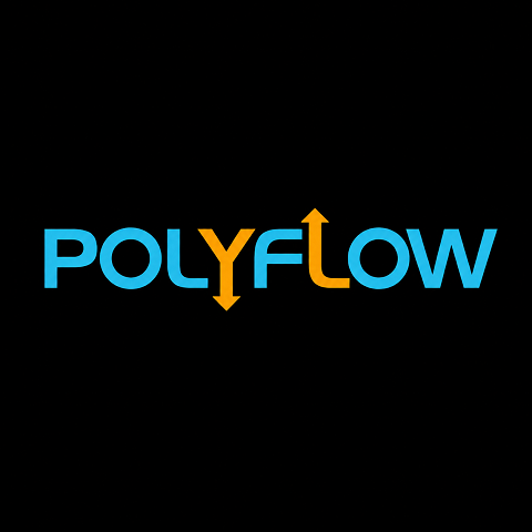 Polyflow Geotechnical &amp; Concrete Lifting Logo