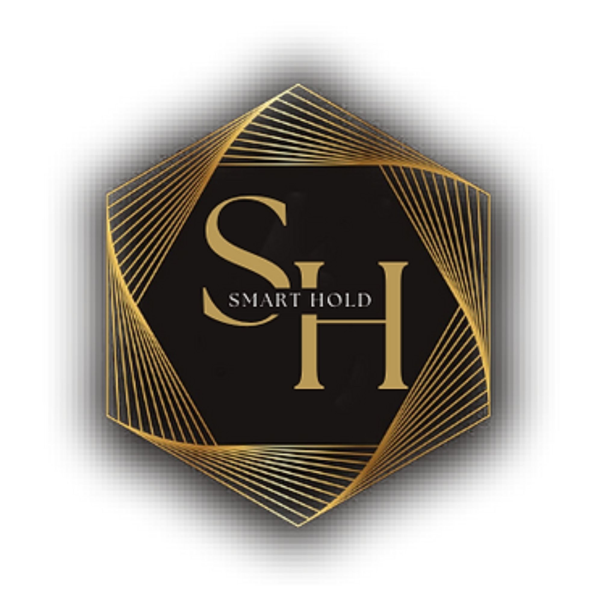Smarthold Development &amp; Construction LLC Logo