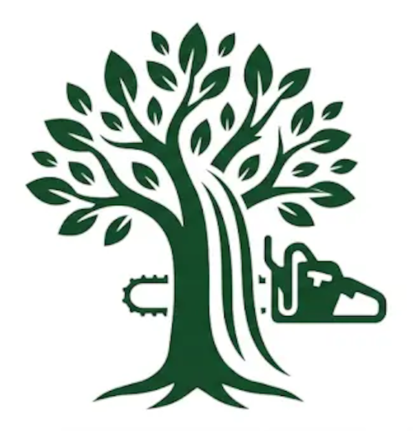 Niagara Falls Tree Removal