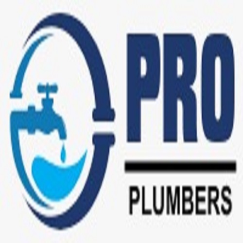 PRO Plumbers  Gibsonton