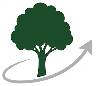 Meridian Tree Removal