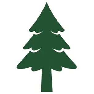 Kent Tree Removal