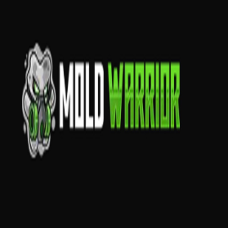 Mold Warrior