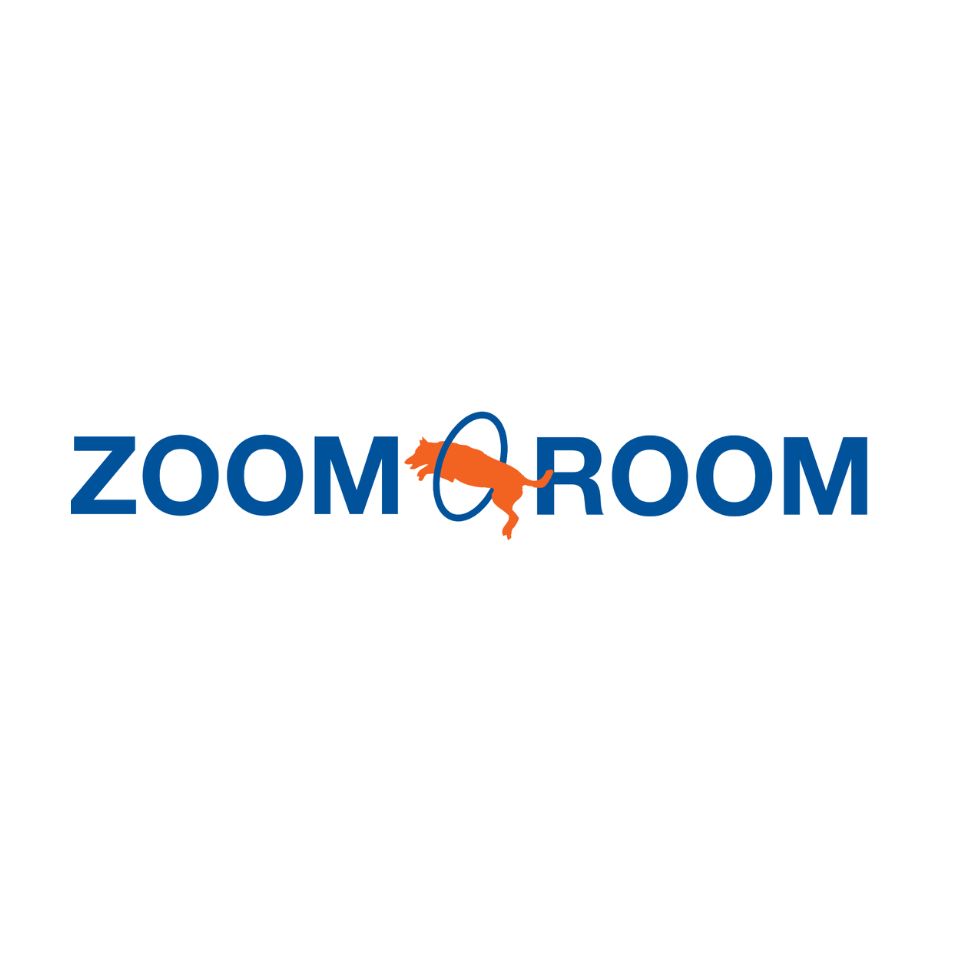 Zoom Room Huntersville Logo