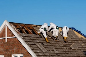 Boise premier asbestos removal Logo