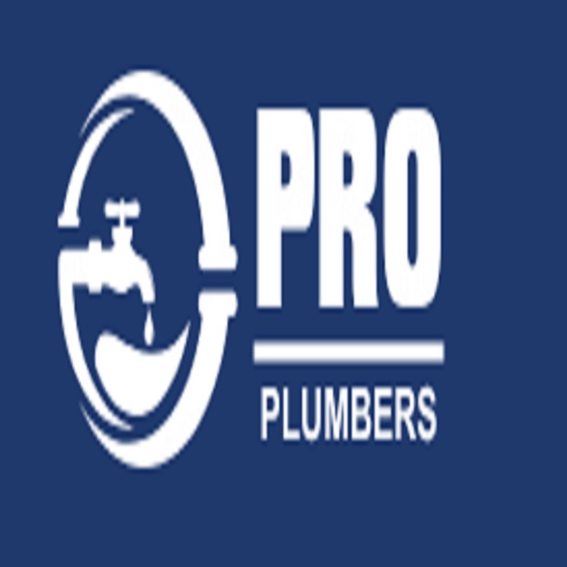 PRO Plumbers - Carson