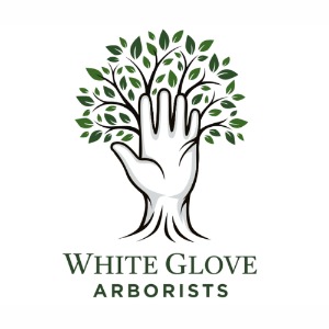 White Glove Arborists