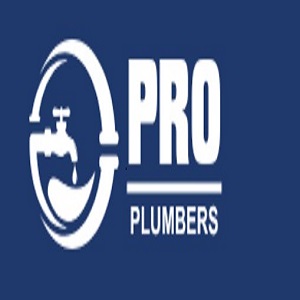 PRO Plumbers  Elyria