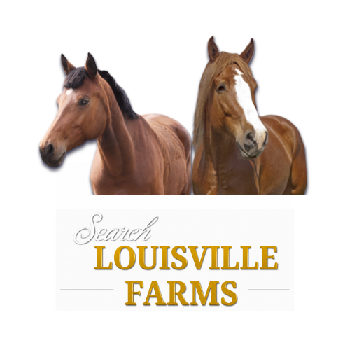 KY Horse Properties Logo