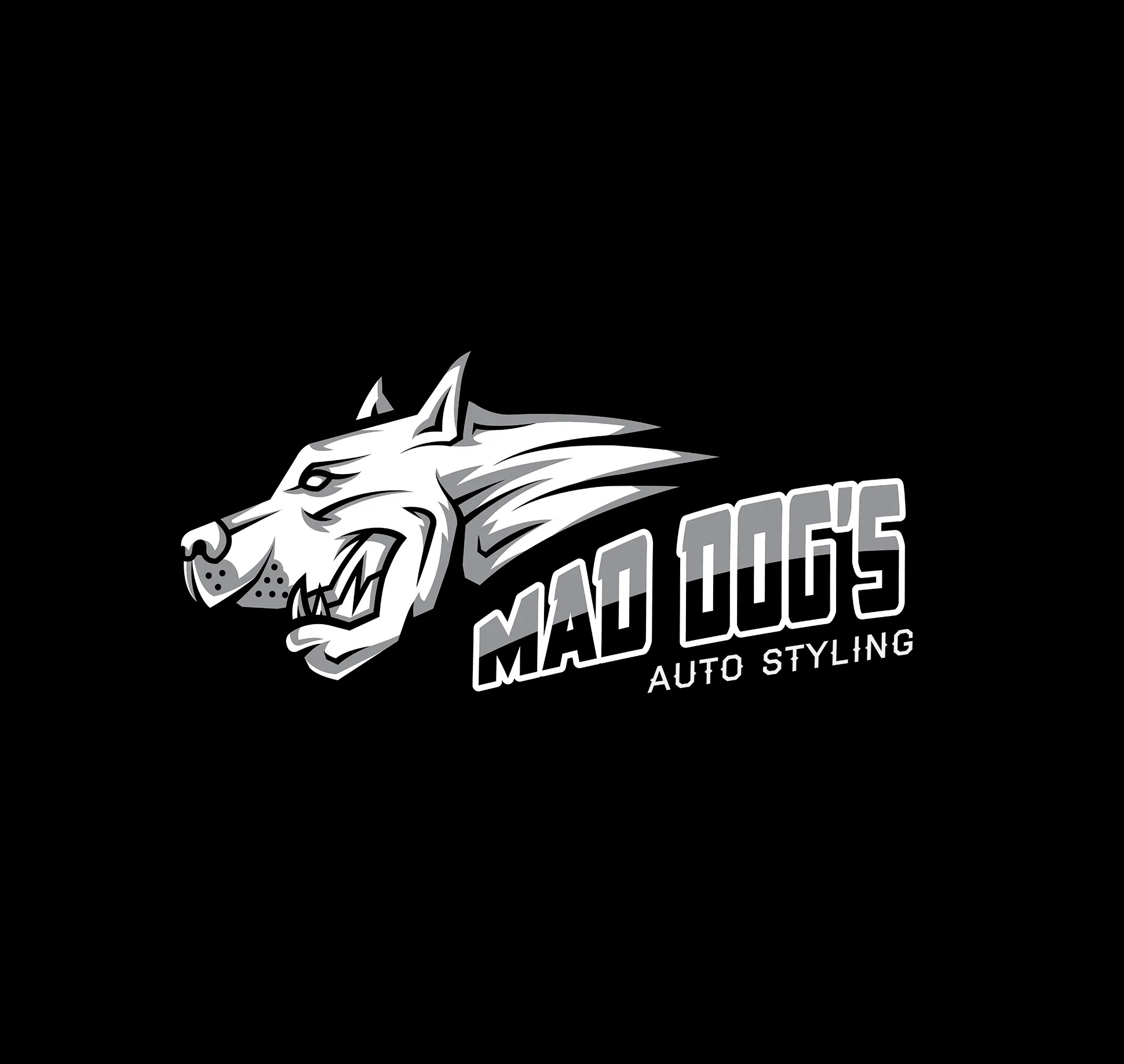 Vivid Detailing & Customs