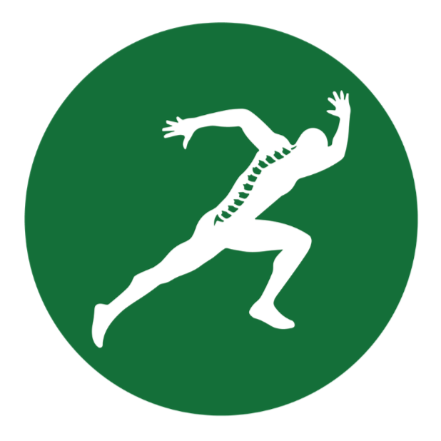 Active Chiropractic Meridian