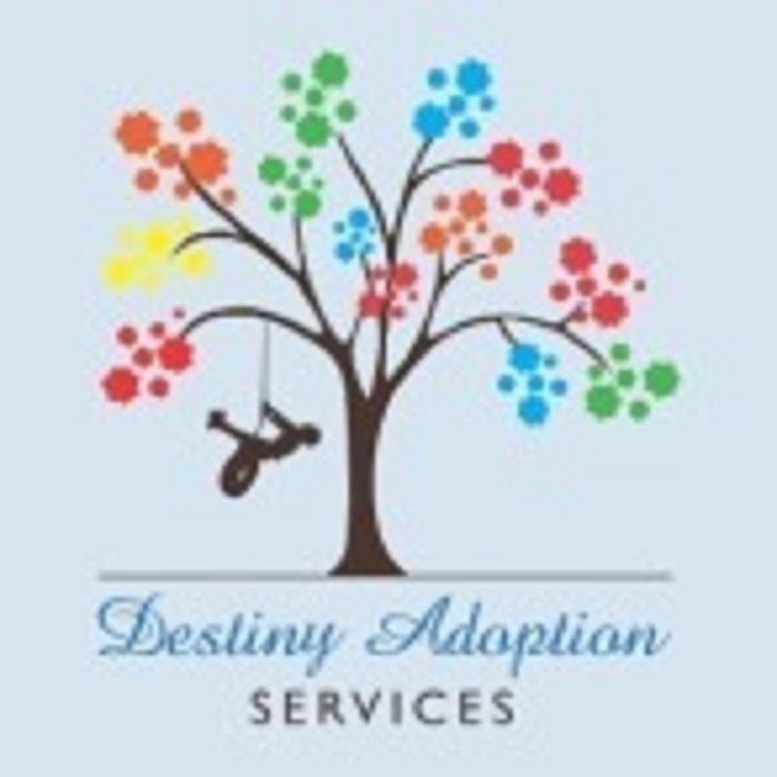 Destiny Adoption Services Clarksville